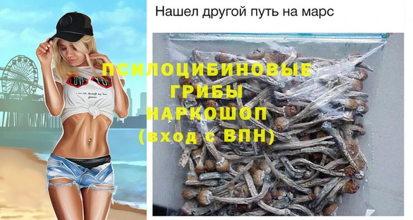 прущие крисы Балахна
