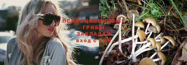 дурь Белоозёрский