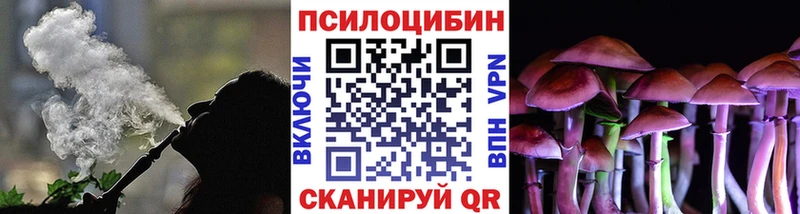 Псилоцибиновые грибы прущие грибы продажа наркотиков Высоковск
